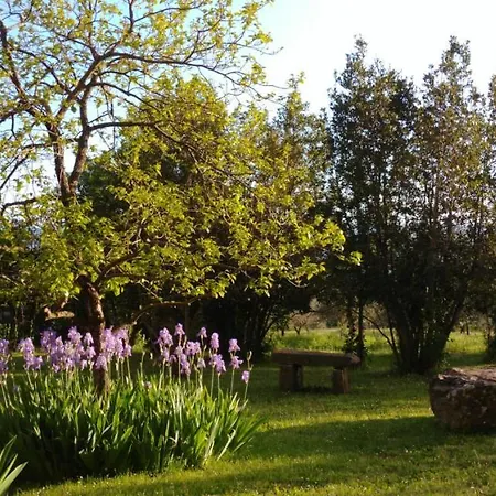 Farm stay Botro Pulicciano