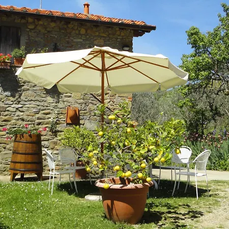 Farm stay Botro Pulicciano