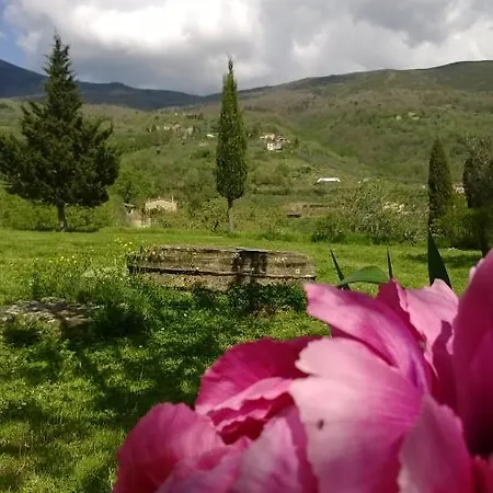 Botro Farm stay *