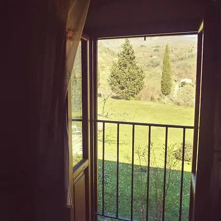 Botro *